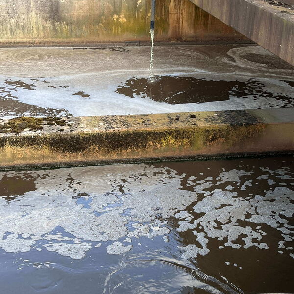 Wasseroberfläche von einem Becken auf einer Kläranlage mit Dosierstelle.