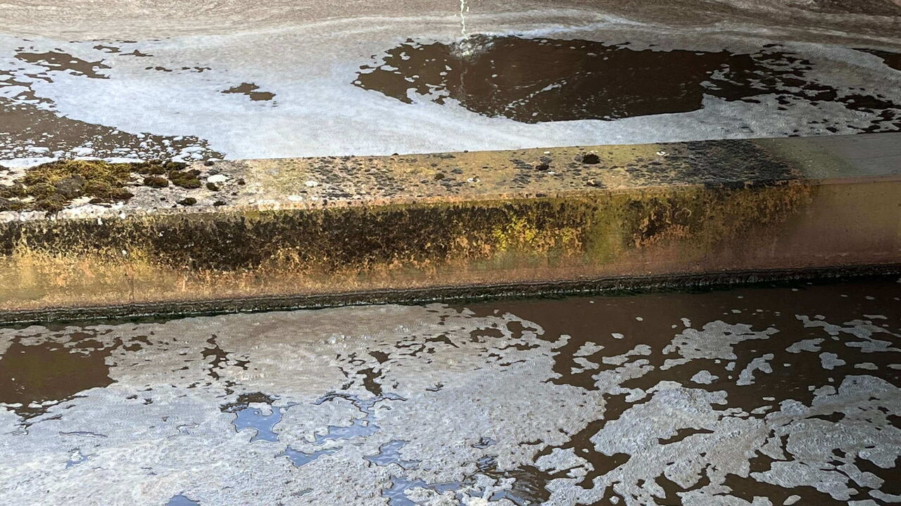 Wasseroberfläche von einem Becken auf einer Kläranlage mit Dosierstelle.