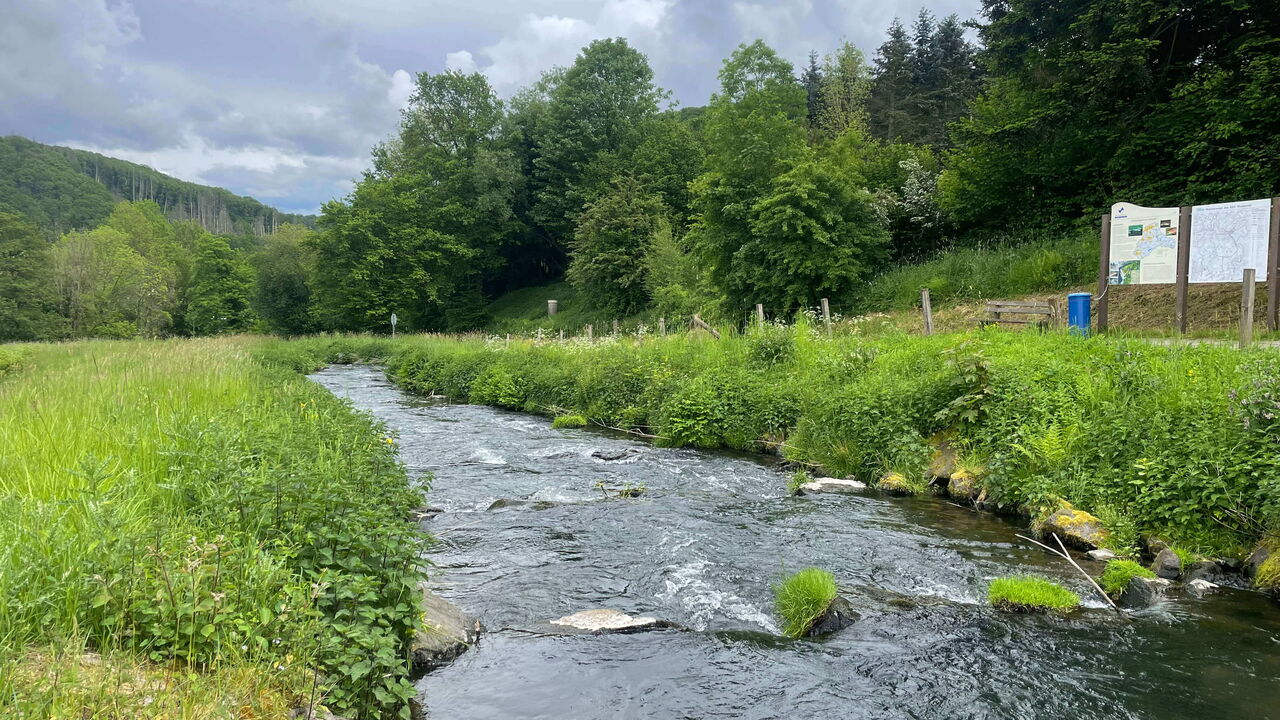 Gewässer mit Wiesen und Bäumen am Rand und grauen Wolken am Himmel.