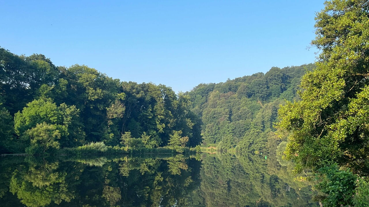 Blick auf ein Gewässer mit Bäumen am Rand, blauer Himmel und spiegelender Wasseroberfläche.