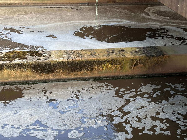 Wasseroberfläche von einem Becken auf einer Kläranlage mit Dosierstelle.