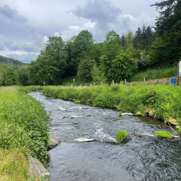 Gewässer mit Wiesen und Bäumen am Rand und grauen Wolken am Himmel.